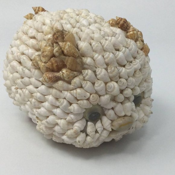 Other - Sea Shell Art Decor Small Pig Vintage